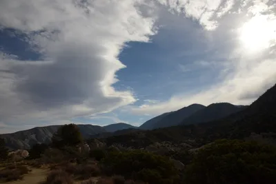 DSC_6236 (Large).JPG